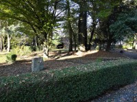 /album/galerie-photos/nod-004-jpg/